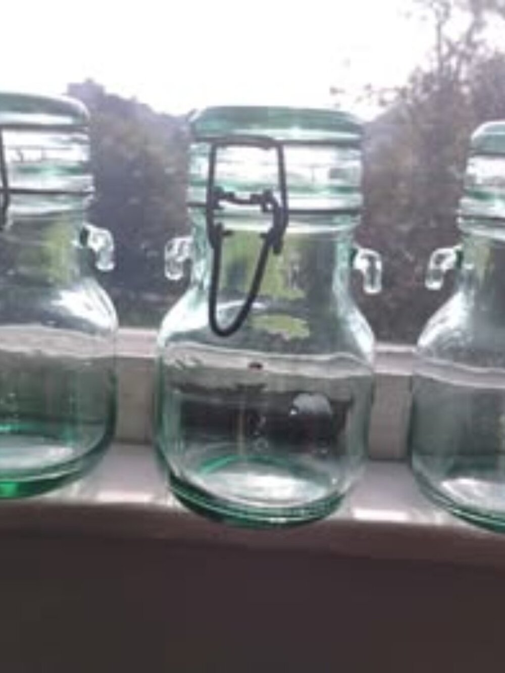Vintage Italian Vetreria Estrusca green glass jars set of 3